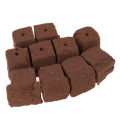 10Pcs rockwool hydroponics grow starter cubes
 Podazz. 