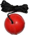 Cricket Hanging Hard Ball for Bat Stroke Training Balls for Cricket | Balls for Kids Personal and Professional Practicing Use | Pack of 1 Hanging Cricket Ball | String Cricket Balls | Hand Eye Coordination Batting Drills. 