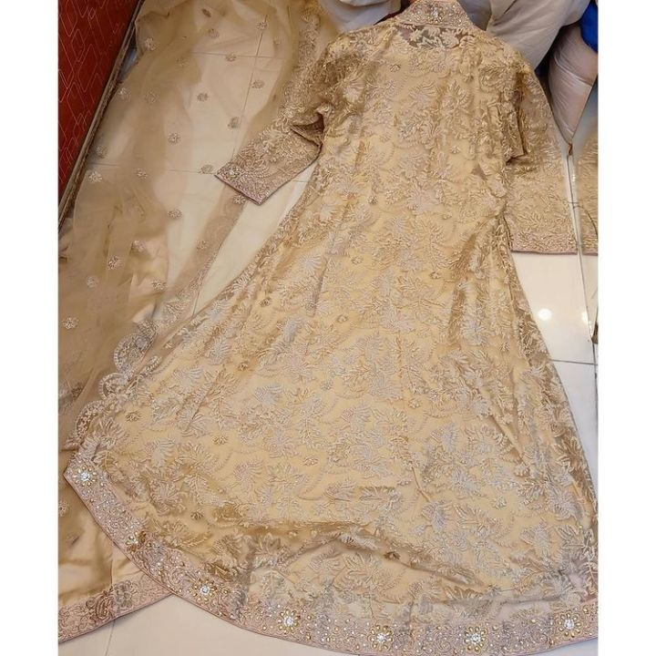 Organza%20%7C%20Gaon%20Style%20Maxi%20%20%7C%20%20Pakistani%20Dress%20-%20Image%203