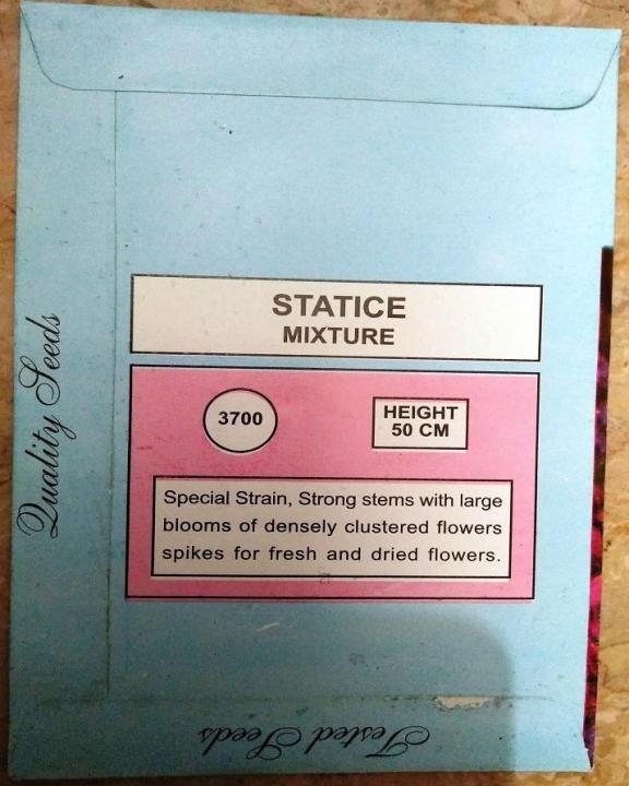 Statice%20Seeds%20Mixed%20Colour%20-%20Image%204