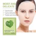 Sadoer Botany And Fruits Succulent Cactus Soothing Face Sheet Mask. 