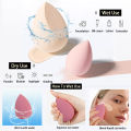 4 PCS Makeup Sponge Blender Set, Professional Beauty Sponge Foundation Blending Blender with Egg Case Makeup Puff Flawless for Cream, Powder and Liquid. 
