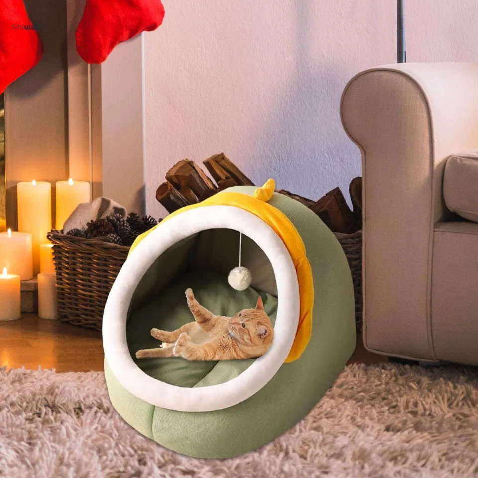 Little cat bed best sale