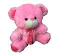 Kids Toys Teddy Bear Small for Kids Gifts. 