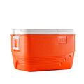 Rahber Max Icebox 42 liters/44 Quarts. 