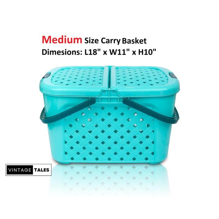 Multipurpose Medium Plastic Carry Basket-Portable Baby Nursery Storage Organizer Laundry Basket-High Quality Picnic Basket-Pet Cat Kitten Dog Puppy Basket