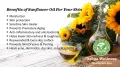 Sun Flower Oil | Sunflower Oil |  (30 ml) Best for Skin Natural Care Recipes | Pure & Organic | Pakistan Pansar. 