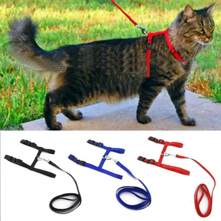 Adjustable Small Pet Cat Harness Leash Set Nylon Red Color Kitten ...