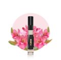 Florse Perfume | Our Best Floral Fragrance | Women's Top Choice Perfume | Scents N Stories | 5ml. 