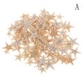 Sea shells size:0.5-3cm 100pcs Mini Starfish Craft Decoration Natural Sea Stars. 