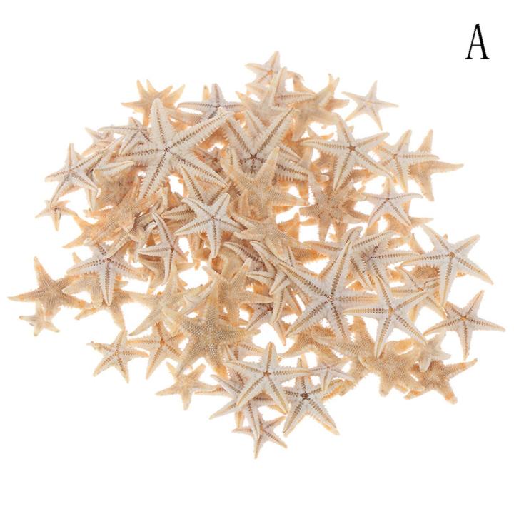 Sea shells size:0.5-3cm 100pcs Mini Starfish Craft Decoration Natural Sea Stars