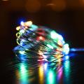 MULTICOLOR SEEDS FAIRY LIGHT - BATTERY OPERATED FAIRY LIGHT - ROOM DECORATION FAIRY LIGHT. 