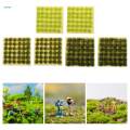 Cluster Grass Scene Grass Tufts Set Model Trains Landscape for Accessory Dioramas Scenery Fairy. 