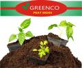 Peat Moss For All Type Seedling Professional Garden Soil Mix. 