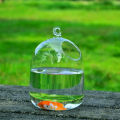 Vase Fishbowl Transparent Hanging Glass Creative Decor Fish Tank for Living Room. 