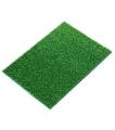 Imported artificial grass - Green ( 6X6 Foot 10MM ). 