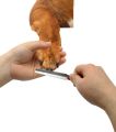 Cat Nail Clipper Cutter Dog Nail Clipper Cutter Pets Pet Toe Care Stainless Steel Dogs Cats Scissors Clippers Grooming Trim Nails Birds + Nail File - PS318 - PS-GR. 