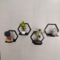 Hexagon Wall Shelf | Home Decoration art | Wall Design. 
