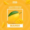 Khaso Aam Mango Chaunsa Flavor 500 Gm, 100% Natural Dried Mango Fruit Candy | KhasoAam Premium Mango Fruit Bar, Aam Papad Mango Candy Toffee Mango Pulp Jelly Fruit Bites | No Artificial Preservatives Made With Real Fruit. Fruity Bites. 