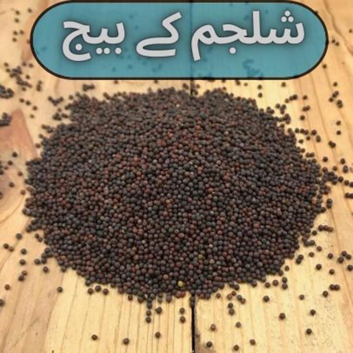 Turnip(purple)seeds(shaljam k beej/Shalgam k beej)(شلجم/شلغم کے بیج)Hybrid/Germinated/Best Quality/Fast growing/Excellent Germination/High Quality/Healthy Vegetable Seeds/Vegetable/Home/Kitchen/Gardening seeds/beej/Vegetables Seeds Packetk