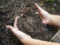 Organic Soilless Seed Starter Mix - Mixture of Vermicompost Coco Peat/Cocopeat and Perlite. 