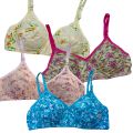 FairyShop Pack of 2 Soft Indian Blended Cotton Bra - HL2. 