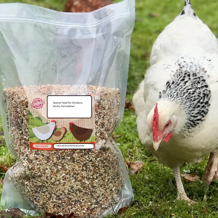 Premium%20Chicken%20Feed%20&%20Dana%20%E2%80%93%20500gm%20%7C%20High%20Protein%20Mix,%20Egg%20Booster%20&%20Growth%20Starter%20%E2%80%93%20All%20Stages%20Feed%20(Chicks,%20Hens%20&%20Ducks)%20-%20Image%206