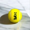 High Quality Tennise Gas Balls Cricket (MA3).. 