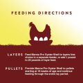 Crushed Oyster Shell for Chickens – Calcium Supplement for Laying Hens to Support Strong Eggshells – Natural Poultry Mineral Feed for Backyard Chickens – 500 g. 