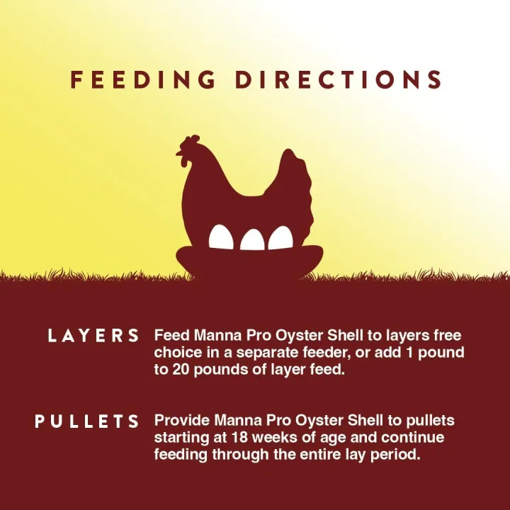 Crushed%20Oyster%20Shell%20for%20Chickens%20%E2%80%93%20Calcium%20Supplement%20for%20Laying%20Hens%20to%20Support%20Strong%20Eggshells%20%E2%80%93%20Natural%20Poultry%20Mineral%20Feed%20for%20Backyard%20Chickens%20%E2%80%93%20500%20g%20-%20Image%205