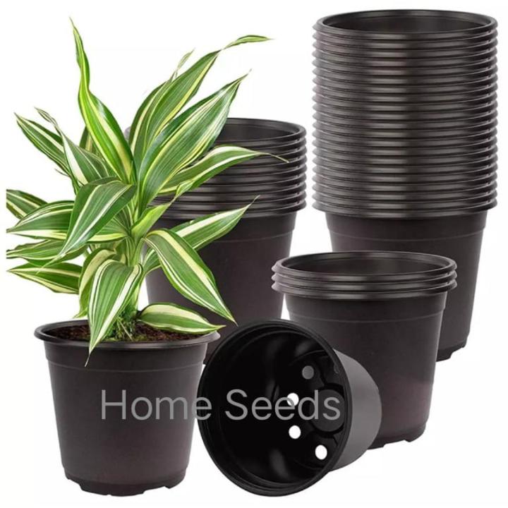 Pack of 10 black plastic flower pots - Pots for seedling or flowers ...