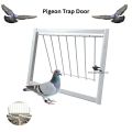 Large Pigeon Trap Loft Door (Pack Of 10) with Steel Frame (3feet) also use for ( Ground Birds & Small Animals ). 