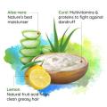 Inndian Nyle Shampoo with Lemon, Aelo Vera and Curd 400 ML. 