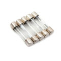 10PCS - Fuse - 30mm Glass - 10A Glass Fuse. 