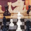 Board Game Folding Magnetic Chess Set Travel Chess Chessboard Training Game for Adults and Kids Education Toy. 