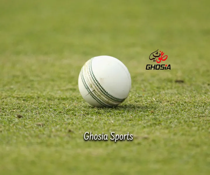 Premium%20Quality%20Hand-stitched%20Cricket%20Hard%20Ball%20For%20Practice%20White%20Color%20(%20Set%20of%203%20)%20-3160%20-%20Image%207