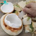 Green Home Coconut Shaver Professional Coconut Egg Scraper Coconut Meat Extractor. 