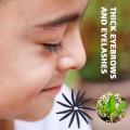 Usma Grass Stick Powder Growth Hairline Mascara Usman Hair Thick To Eyebrow Promote Black Growth Hair Q6E4. 