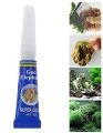 Aquarium Plants Moss Glue 5 Grams Best Glue For Planted Aquarium Elephant Glue 1PC. 