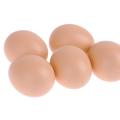 Pack of 12 - Realistic Chicken Eggs Toy Food Playset for Kids. 