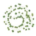 Best artificial leaves plants garland green leaf bail 7 ft approx. natural look for decoration/ Green leaf garland/Wedding decor/ Bedroom decor/ Birthday decor/ Garden party decor/ Fake hanging plants/ Foliage green leaves ribbon/Wall garden. 