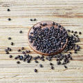 Seeds  - Catnip Herb Seeds - Home Kitchen Gardening Flower Seeds. 