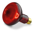 Beurer IL11 - Spare bulb for Infrared lamp with 100 watt. 