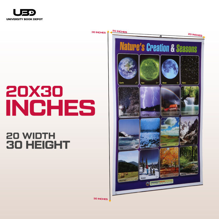 Pack%20of%209%20Wall%20Charts%20for%20Classrooms%20and%20School%20Decoration%20%7C%20Wall%20Posters%20for%20Kids%20Basic%20to%20Advance%20Learning%20on%20200%20grams%20Laminated%20Card%2020*30%20inches%20-%20Image%202