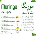 200 Moringa Capsules | Best for Weight Loss | Controls diabetes | moringa capsole | Asian Health Drink. 