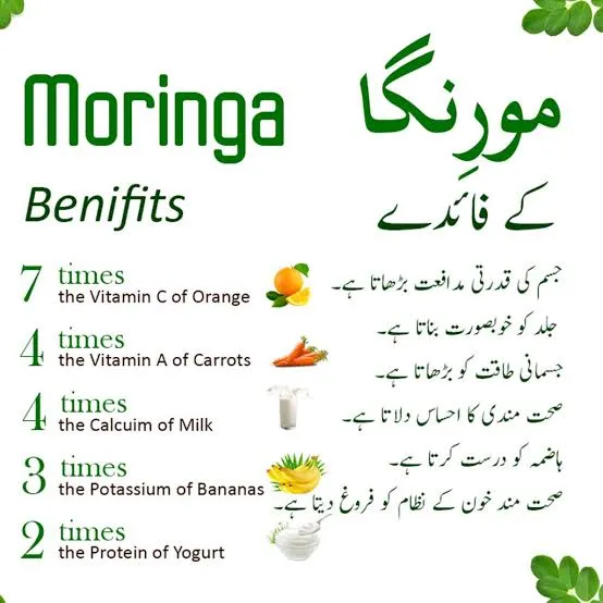 200%20Moringa%20Capsules%20%7C%20Best%20for%20Weight%20Loss%20%7C%20Controls%20diabetes%20%7C%20moringa%20capsole%20%7C%20Asian%20Health%20Drink%20-%20Image%202