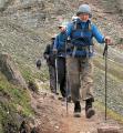 Blue Walking Stick with Palm Grip Adjustable Height Left Right handle Cane New for mountain tracking hiking adventure outdoor sports. 