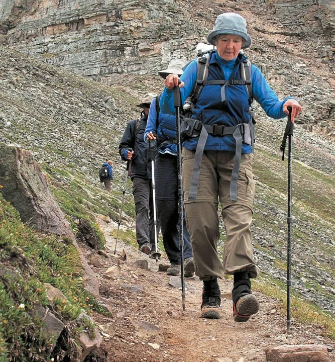 Blue%20Walking%20Stick%20with%20Palm%20Grip%20Adjustable%20Height%20Left%20Right%20handle%20Cane%20New%20for%20mountain%20tracking%20hiking%20adventure%20outdoor%20sports%20-%20Image%206