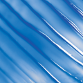 Conatural Blue Shampoo. 
