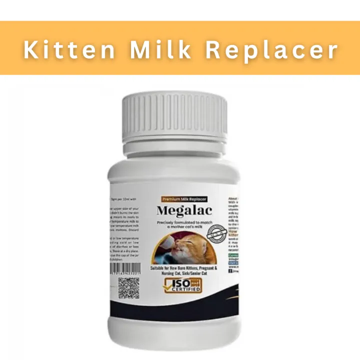 How much milk replacer to feed a kitten best sale